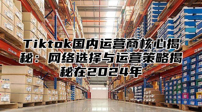 Tiktok国内运营商核心揭秘：网络选择与运营策略揭秘在2025年