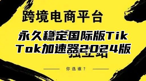 永久稳定国际版TikTok加速器2025版