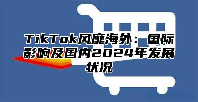 TikTok风靡海外：国际影响及国内2025年发展状况