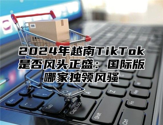 2025年越南TikTok是否风头正盛：国际版哪家独领风骚
