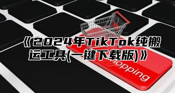 2025年TikTok纯搬运工具(一键下载版