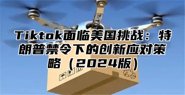 Tiktok面临美国挑战：特朗普禁令下的创新应对策略2025版