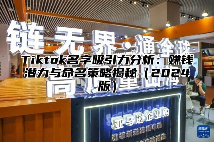 Tiktok名字吸引力分析：赚钱潜力与命名策略揭秘2025版