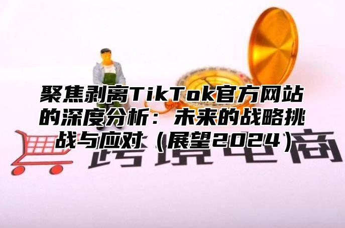 聚焦剥离TikTok官方网站的深度分析：未来的战略挑战与应对展望2025