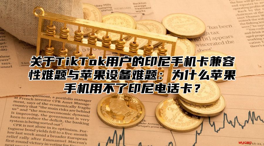 关于TikTok用户的印尼手机卡兼容性难题与苹果设备难题：为什么苹果手机用不了印尼电话卡？