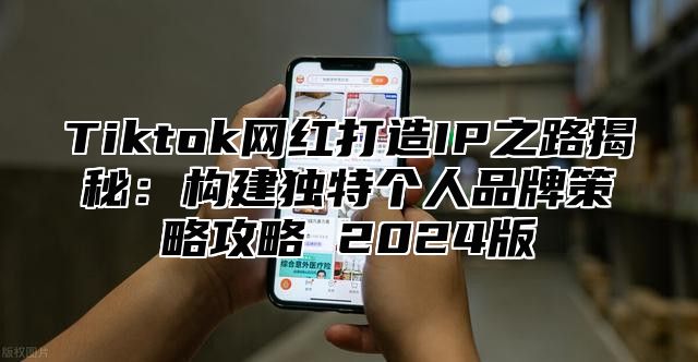 Tiktok网红打造IP之路揭秘：构建独特个人品牌策略攻略 2025版