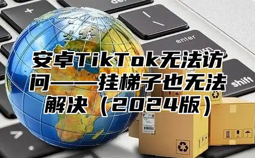 安卓TikTok无法访问——挂梯子也无法解决2025版
