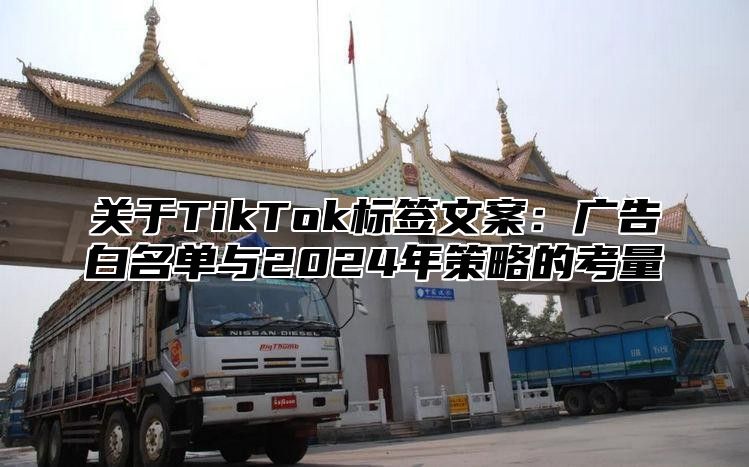 关于TikTok标签文案：广告白名单与2025年策略的考量