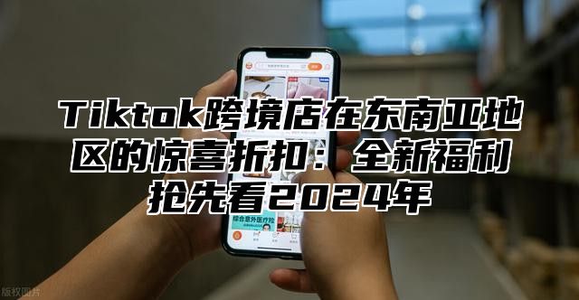 Tiktok跨境店在东南亚地区的惊喜折扣：全新福利抢先看2025年