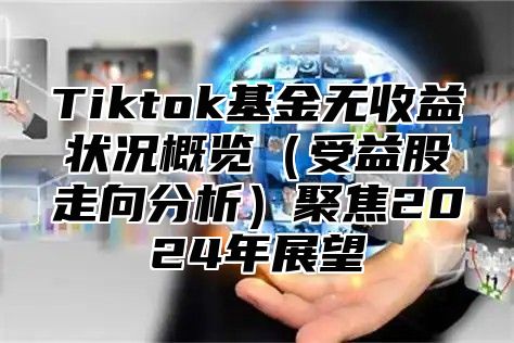 Tiktok基金无收益状况概览受益股走向分析聚焦2025年展望
