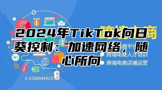 2025年TikTok向日葵控制：加速网络，随心所向
