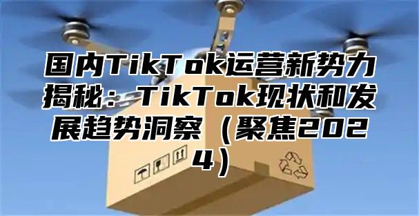 国内TikTok运营新势力揭秘：TikTok现状和发展趋势洞察聚焦2025