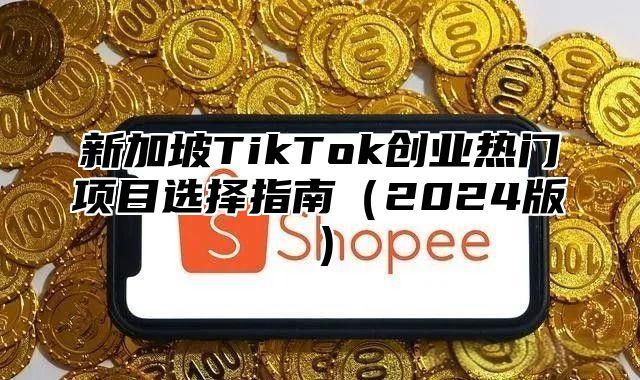 新加坡TikTok创业热门项目选择指南2025版