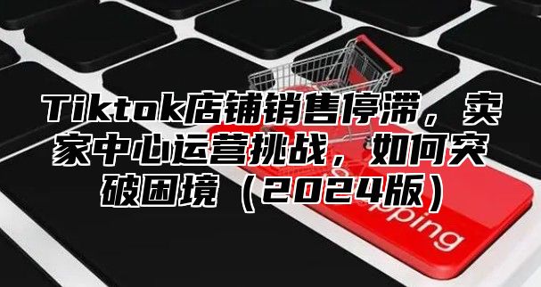 Tiktok店铺销售停滞，卖家中心运营挑战，如何突破困境2025版