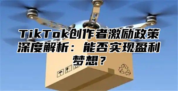 TikTok创作者激励政策深度解析：能否实现盈利梦想？