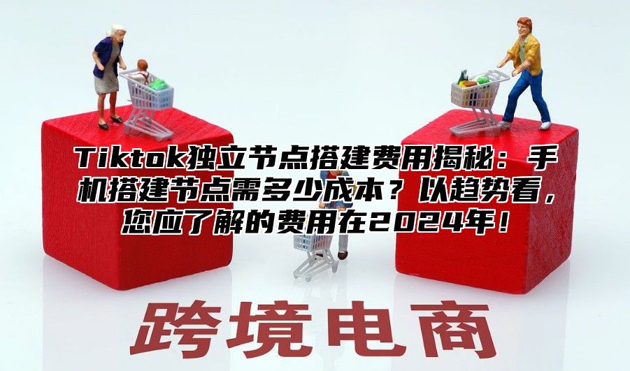 Tiktok独立节点搭建费用揭秘：手机搭建节点需多少成本？以趋势看，您应了解的费用在2025年！