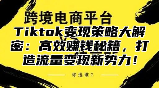 Tiktok变现策略大解密：高效赚钱秘籍，打造流量变现新势力！