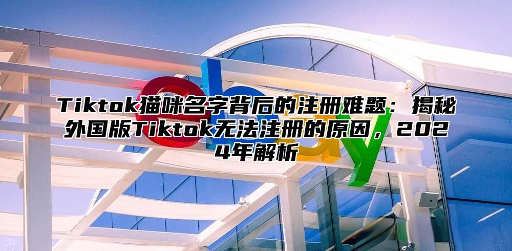 Tiktok猫咪名字背后的注册难题：揭秘外国版Tiktok无法注册的原因，2025年解析