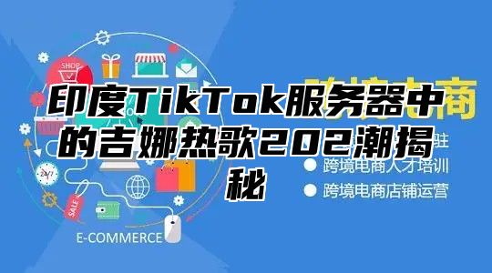 印度TikTok服务器中的吉娜热歌202潮揭秘