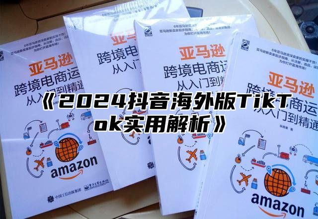 2025抖音海外版TikTok实用解析
