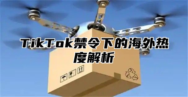TikTok禁令下的海外热度解析