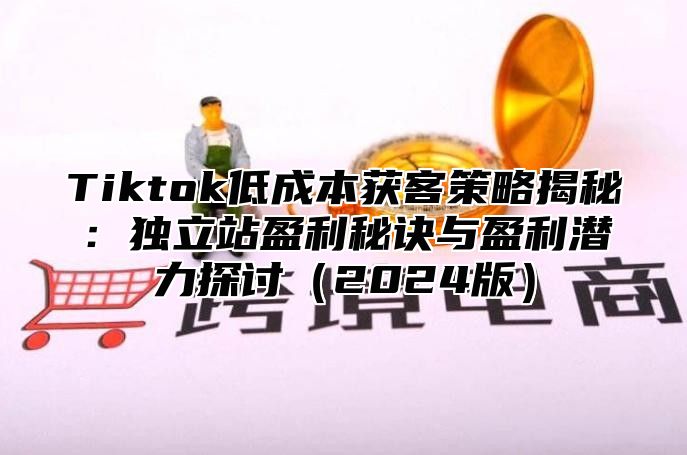 Tiktok低成本获客策略揭秘：独立站盈利秘诀与盈利潜力探讨2025版