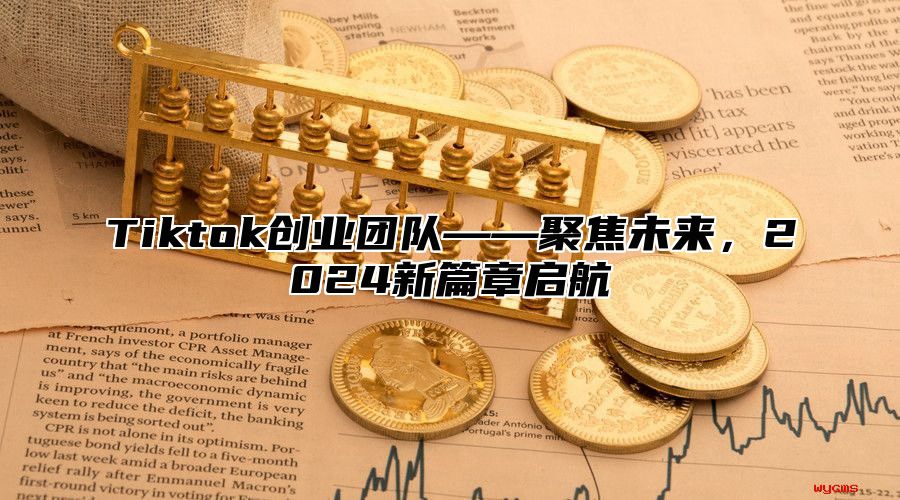 Tiktok创业团队——聚焦未来，2025新篇章启航
