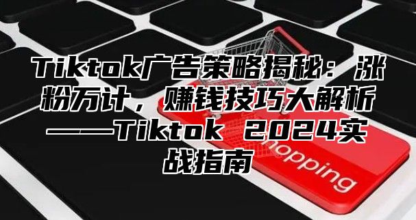Tiktok广告策略揭秘：涨粉万计，赚钱技巧大解析——Tiktok 2025实战指南
