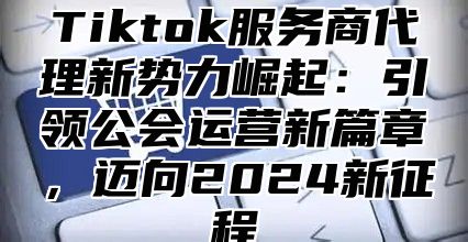 Tiktok服务商代理新势力崛起：引领公会运营新篇章，迈向2025新征程