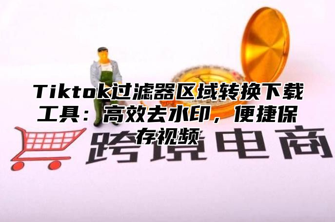 Tiktok过滤器区域转换下载工具：高效去水印，便捷保存视频