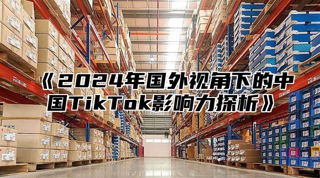 2025年国外视角下的中国TikTok影响力探析