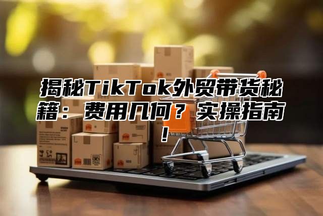 揭秘TikTok外贸带货秘籍：费用几何？实操指南！