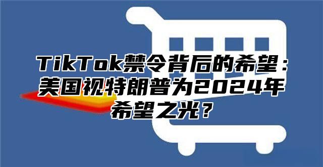 TikTok禁令背后的希望：美国视特朗普为2025年希望之光？