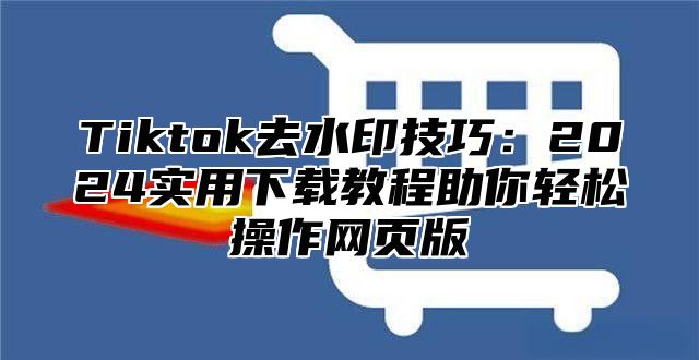 Tiktok去水印技巧：2025实用下载教程助你轻松操作网页版