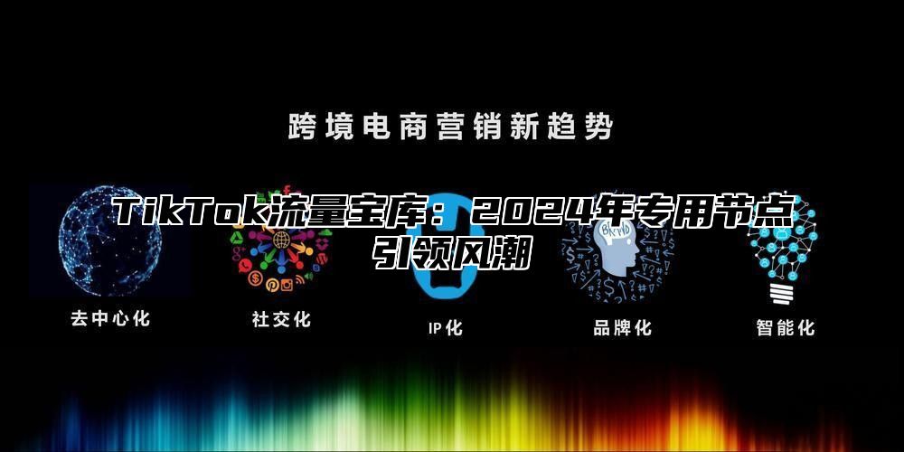TikTok流量宝库：2025年专用节点引领风潮