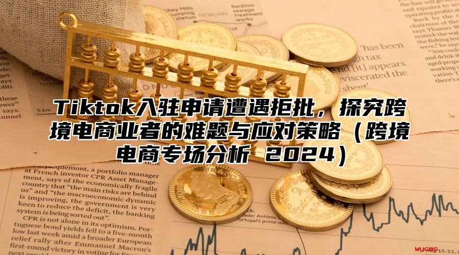 Tiktok入驻申请遭遇拒批，探究跨境电商业者的难题与应对策略跨境电商专场分析 2025