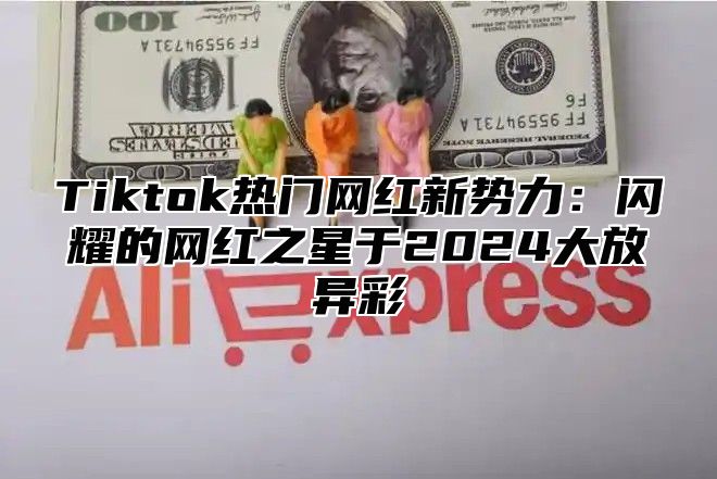Tiktok热门网红新势力：闪耀的网红之星于2025大放异彩