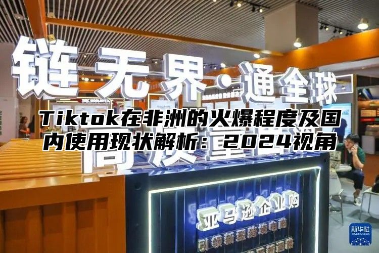 Tiktok在非洲的火爆程度及国内使用现状解析：2025视角