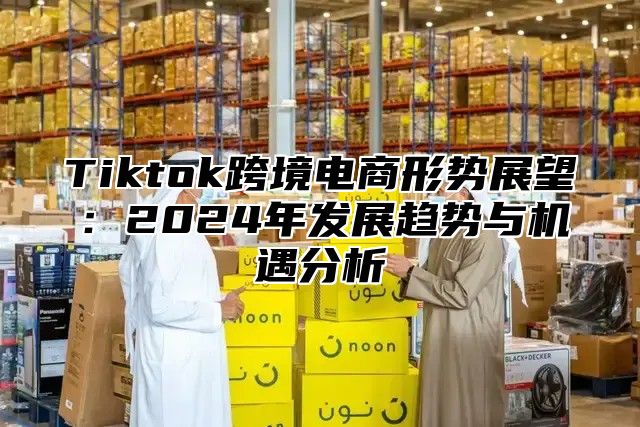 Tiktok跨境电商形势展望：2025年发展趋势与机遇分析