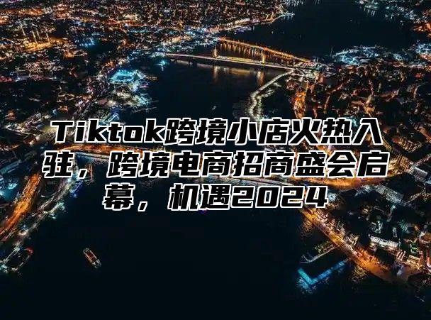 Tiktok跨境小店火热入驻，跨境电商招商盛会启幕，机遇2025