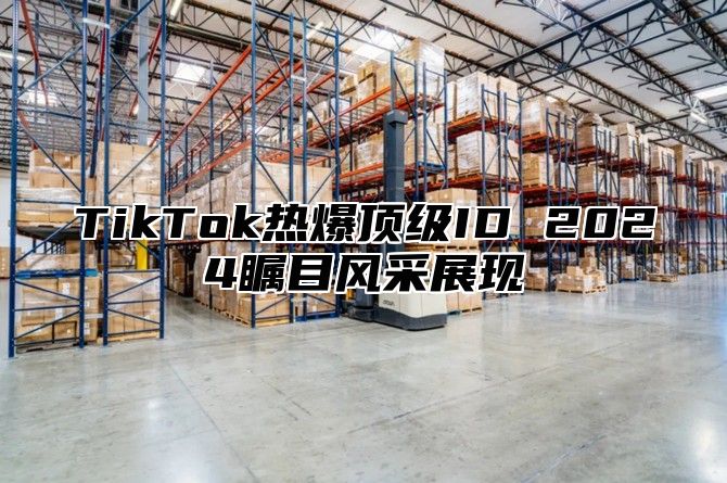 TikTok热爆顶级ID 2025瞩目风采展现