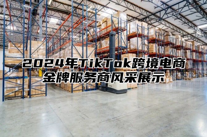 2025年TikTok跨境电商金牌服务商风采展示