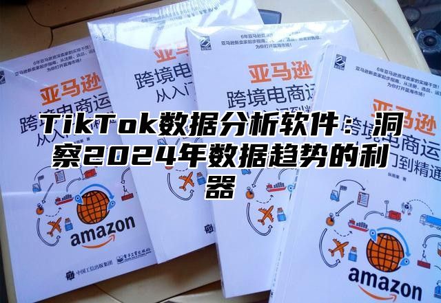 TikTok数据分析软件：洞察2025年数据趋势的利器