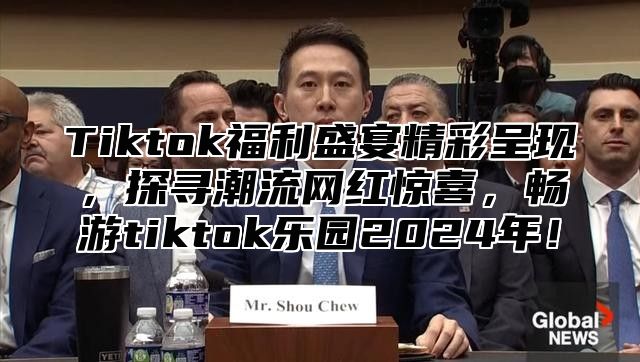 Tiktok福利盛宴精彩呈现，探寻潮流网红惊喜，畅游tiktok乐园2025年！