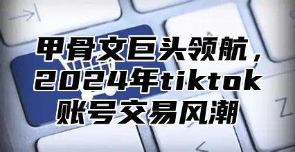 甲骨文巨头领航，2025年tiktok账号交易风潮