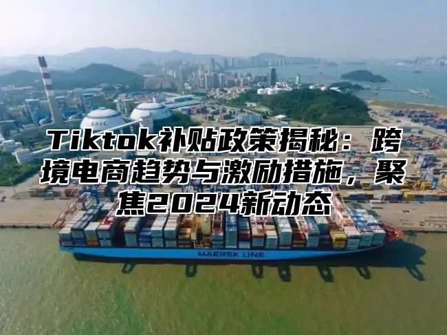 Tiktok补贴政策揭秘：跨境电商趋势与激励措施，聚焦2025新动态