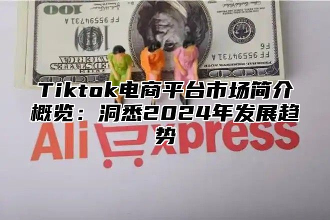 Tiktok电商平台市场简介概览：洞悉2025年发展趋势