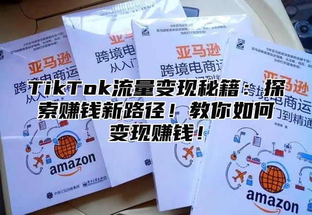 TikTok流量变现秘籍：探索赚钱新路径！教你如何变现赚钱！