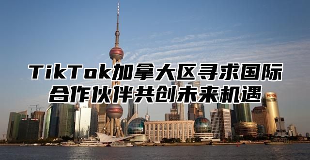 TikTok加拿大区寻求国际合作伙伴共创未来机遇