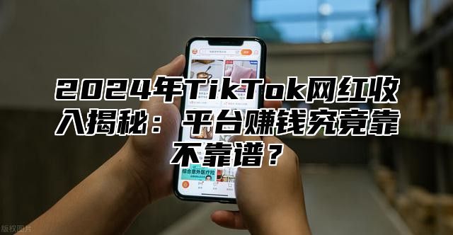 2025年TikTok网红收入揭秘：平台赚钱究竟靠不靠谱？